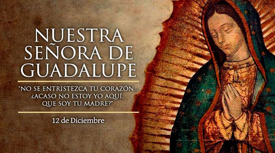 12 de diciembre | Fiesta de Nuestra Señora de Guadalupe